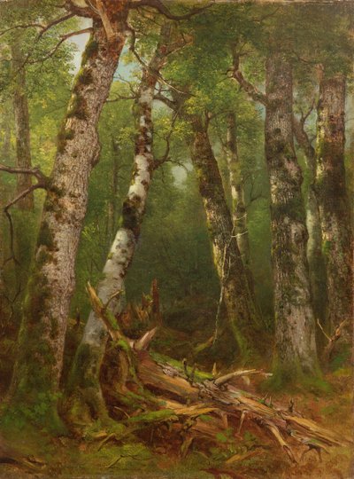 Group of Trees by Asher Brown Durand
